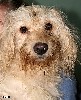 Увеличить изображение