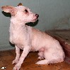 Увеличить изображение