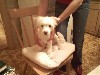 Увеличить изображение