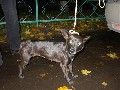 Увеличить изображение