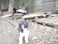 Увеличить изображение