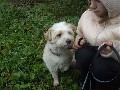 Увеличить изображение
