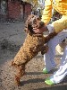 Увеличить изображение