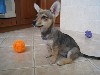 Увеличить изображение