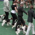 IMG_0748