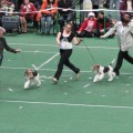 IMG_0750