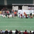 IMG_0772