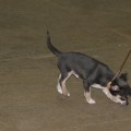 IMG_3889