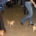 IMG_3876