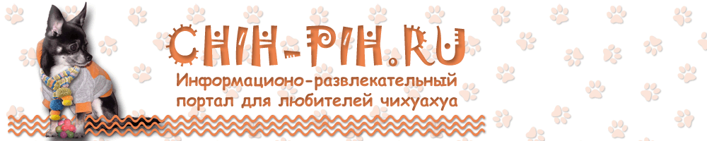 Чихуахуа. Chihuahua.