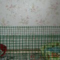 DSC00123