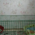 DSC00124