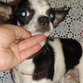 DSCF8992