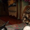 CAM00215