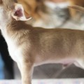 m1-11-weeks2012