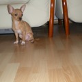 DSCN0520