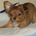DSC03211
