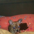 IMAG0061