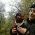 P09-10-12_17.53[1]