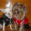 наденем осенние куртки...